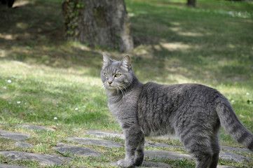 240_F_22535016_8tCXaBRsaytut0dy4g4JQqhWcac03PK2